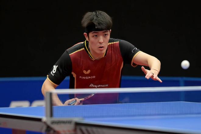 有分析师指 有分析师指