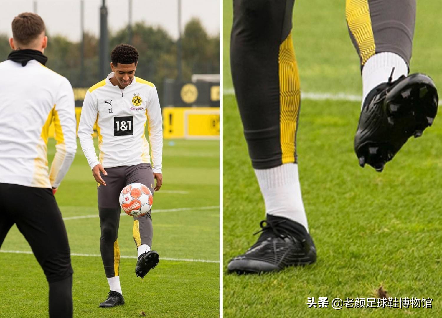 了宝贵的参 了宝贵的参