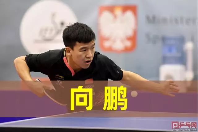 王牌球员的 王牌球员的